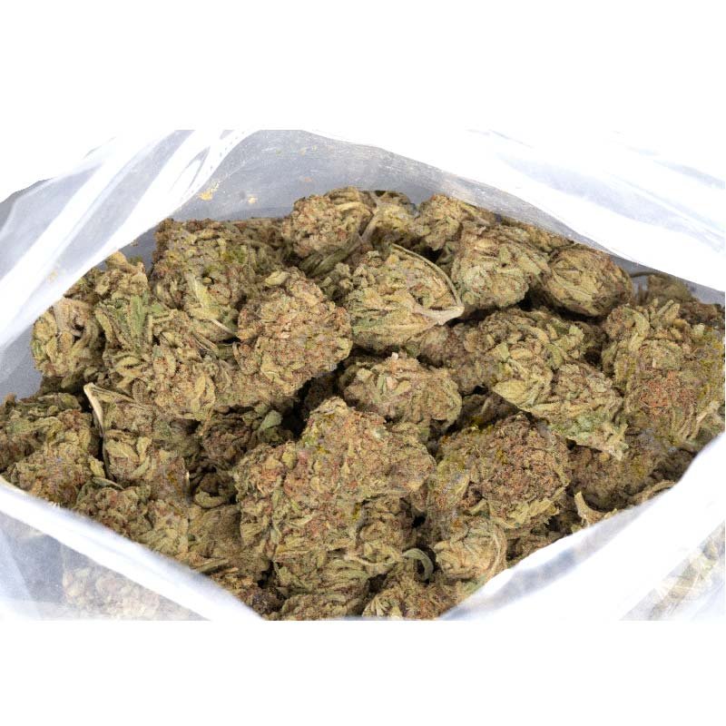 BC bud