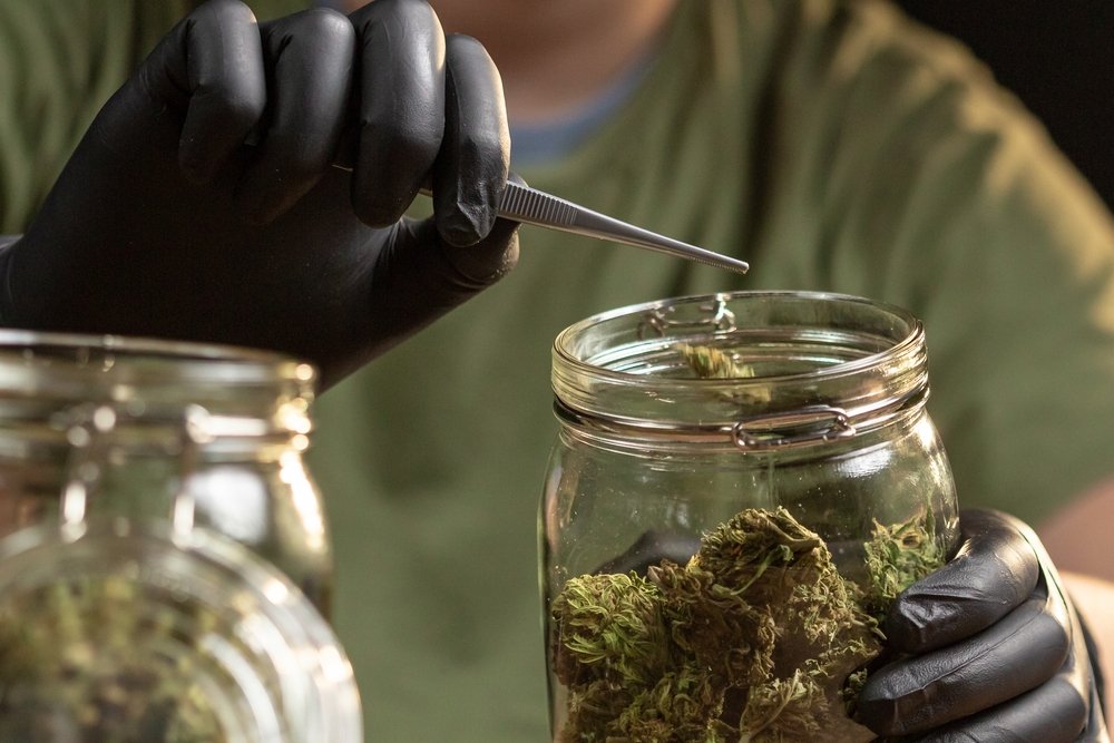 handling weed